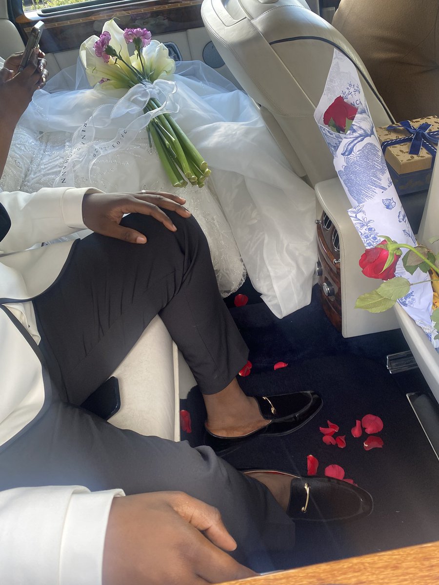 fish¹¹ tweet media