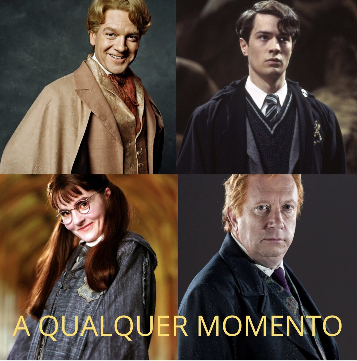 Acervo McGonagall tweet media