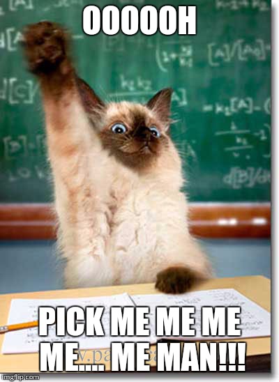 Don Wickenden tweet media