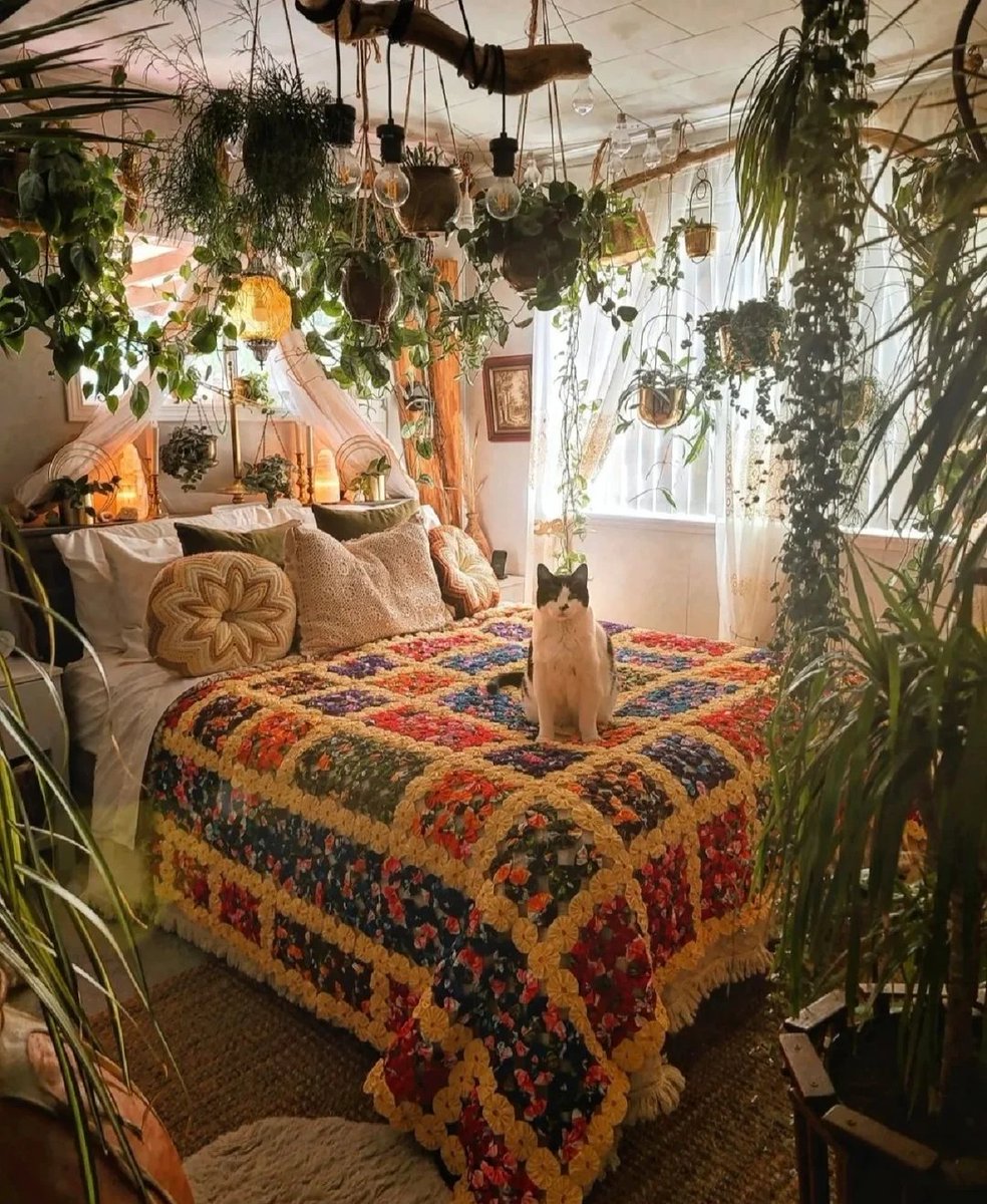 Jan McAdam tweet media