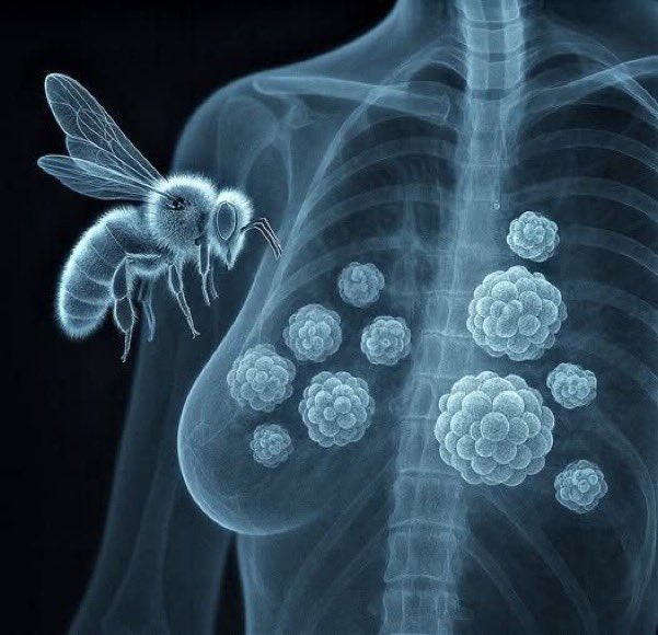 سوالف tweet media