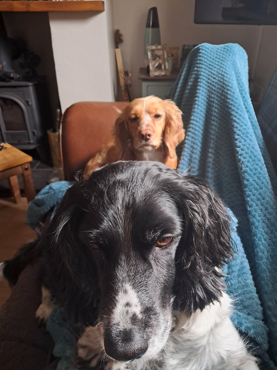 John H. Wood 🇬🇧🏴󠁧󠁢󠁷󠁬󠁳󠁿🇧🇻🇮🇱🇬🇧 tweet media