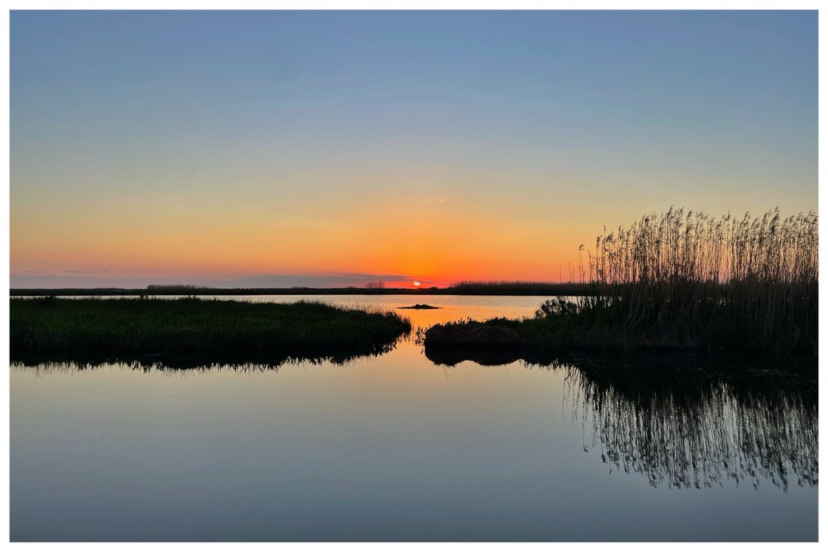 Donald G. Redman tweet media