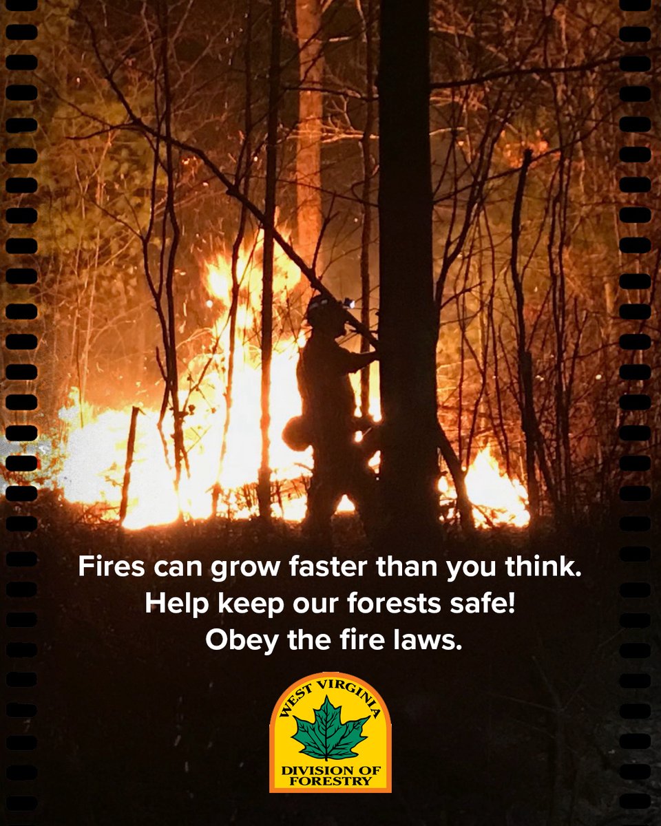 WV Forestry tweet media
