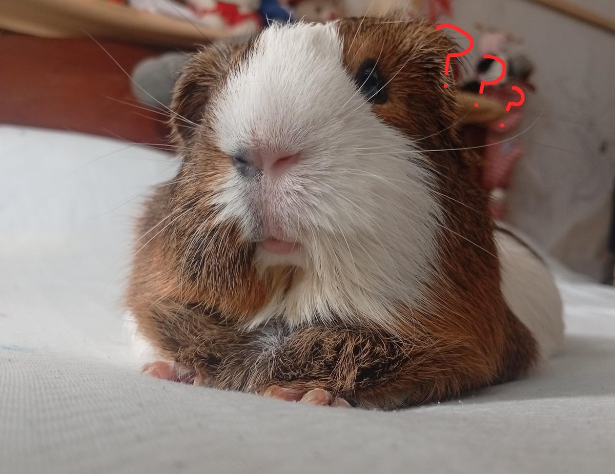 Cassy ≧ᴗ≦ tweet media