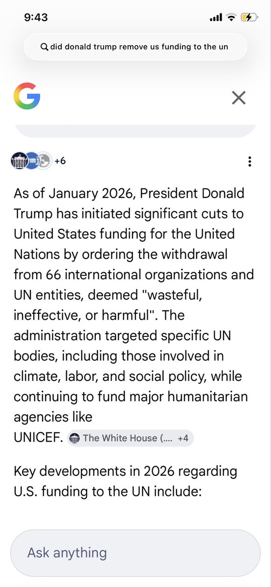 Underground Kiwi tweet media