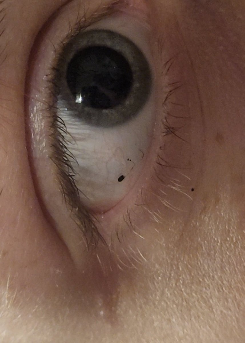 𝚛𝚎𝚗𝚖 tweet media