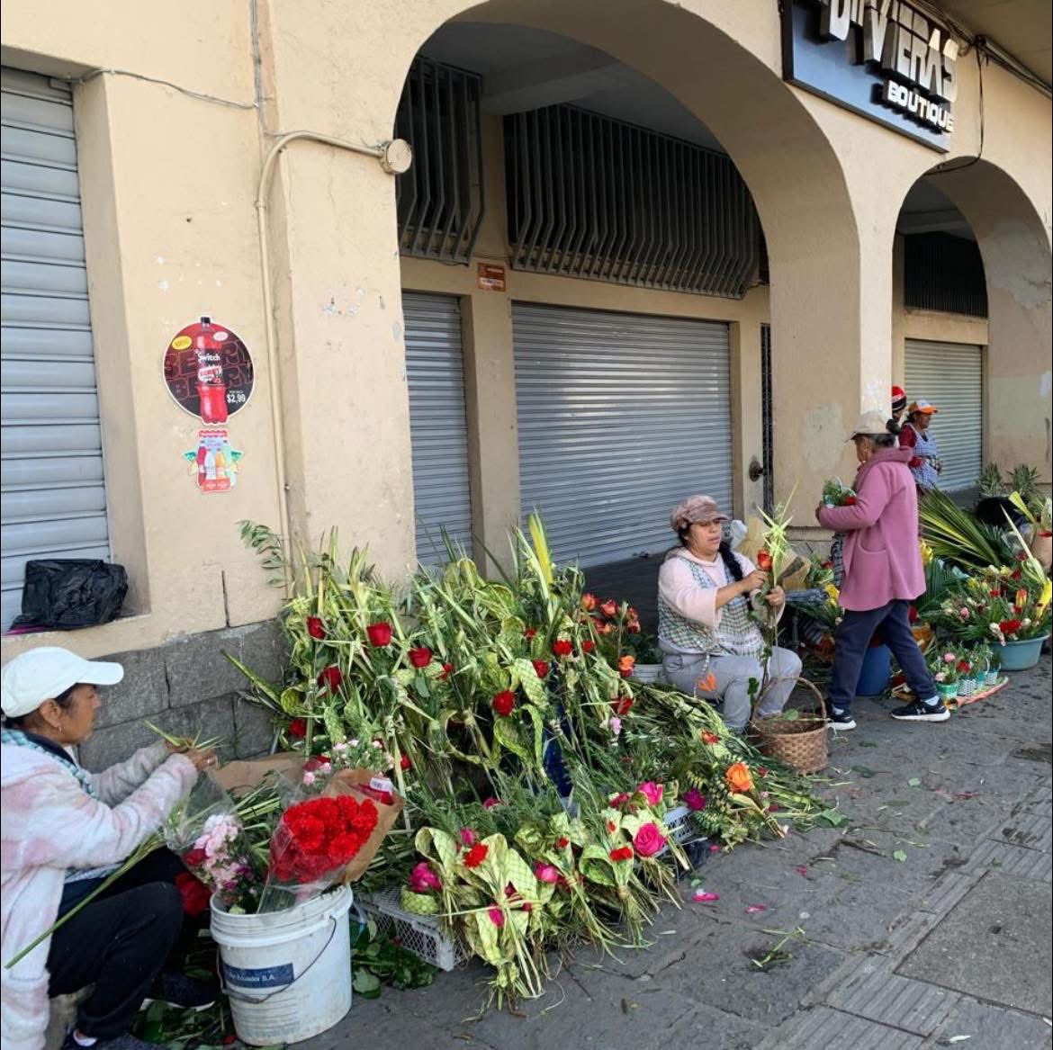 Dirección Zonal 6 MAE tweet media