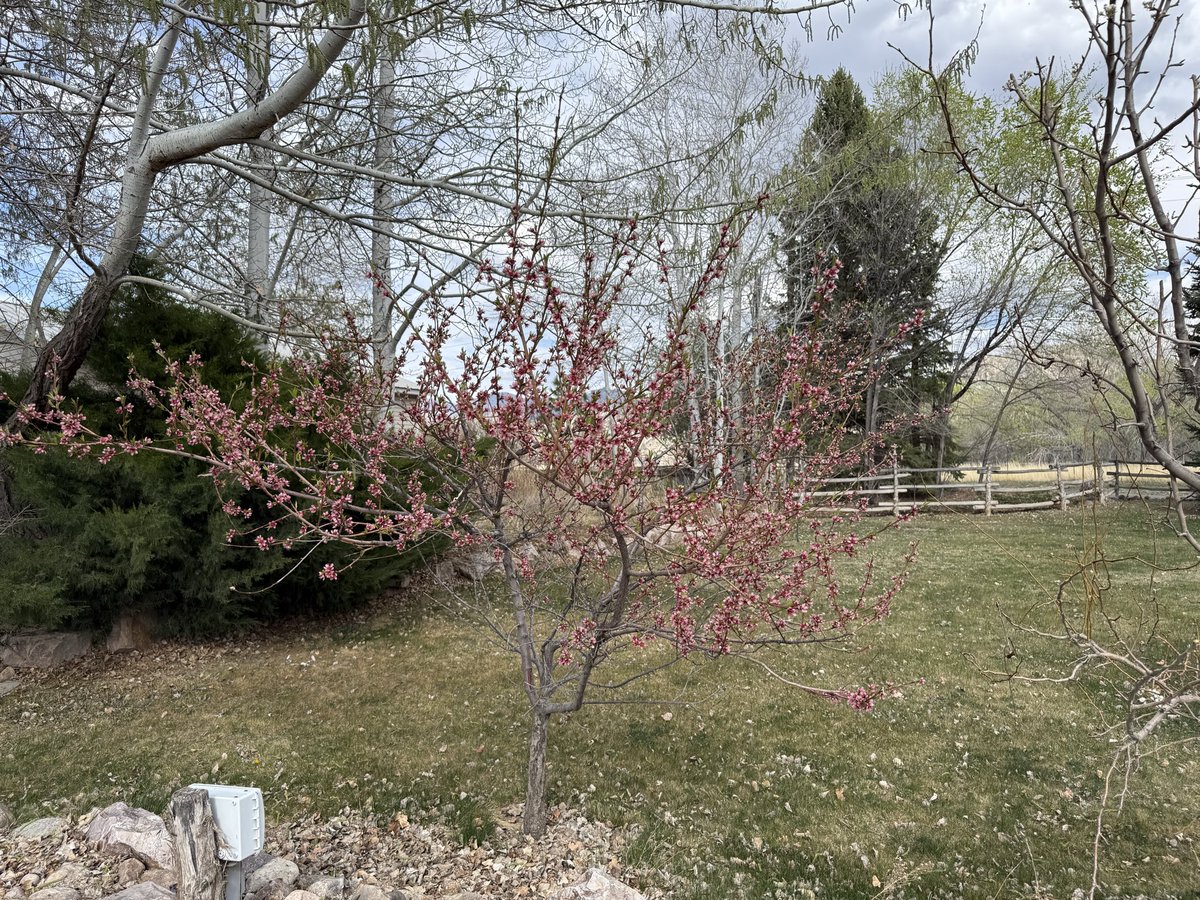 Olddognewtrixs tweet media