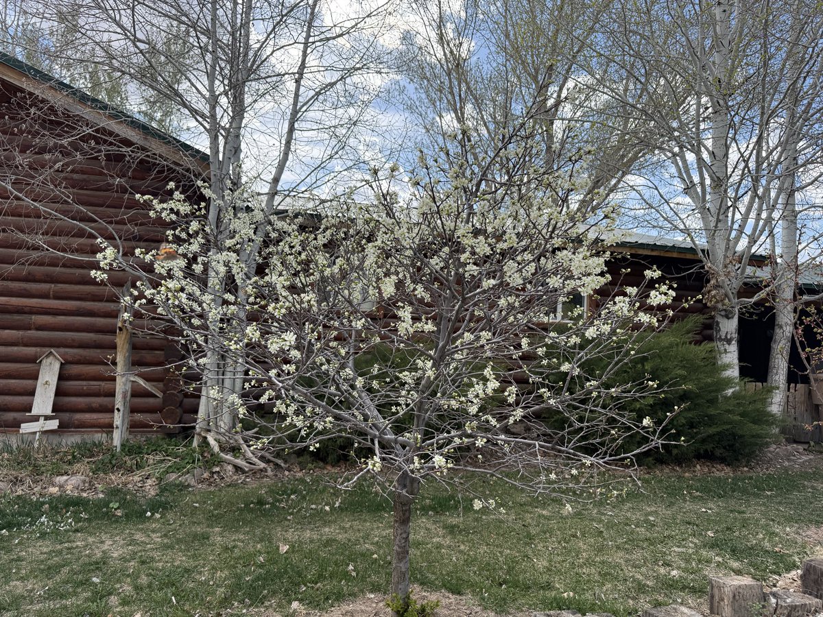 Olddognewtrixs tweet media