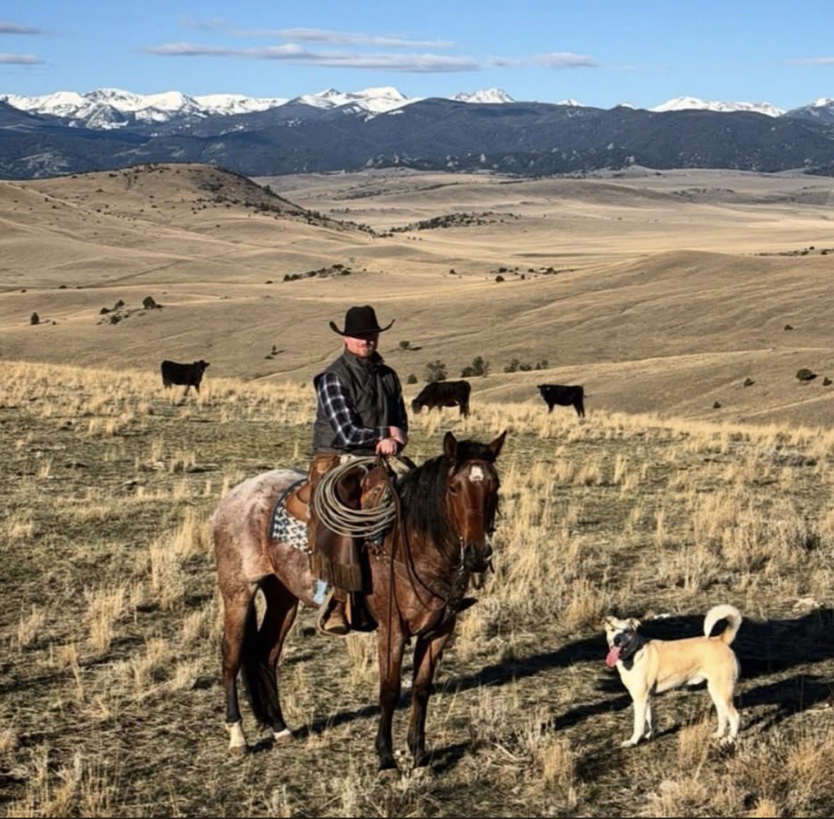 Jeremy Richardson tweet media