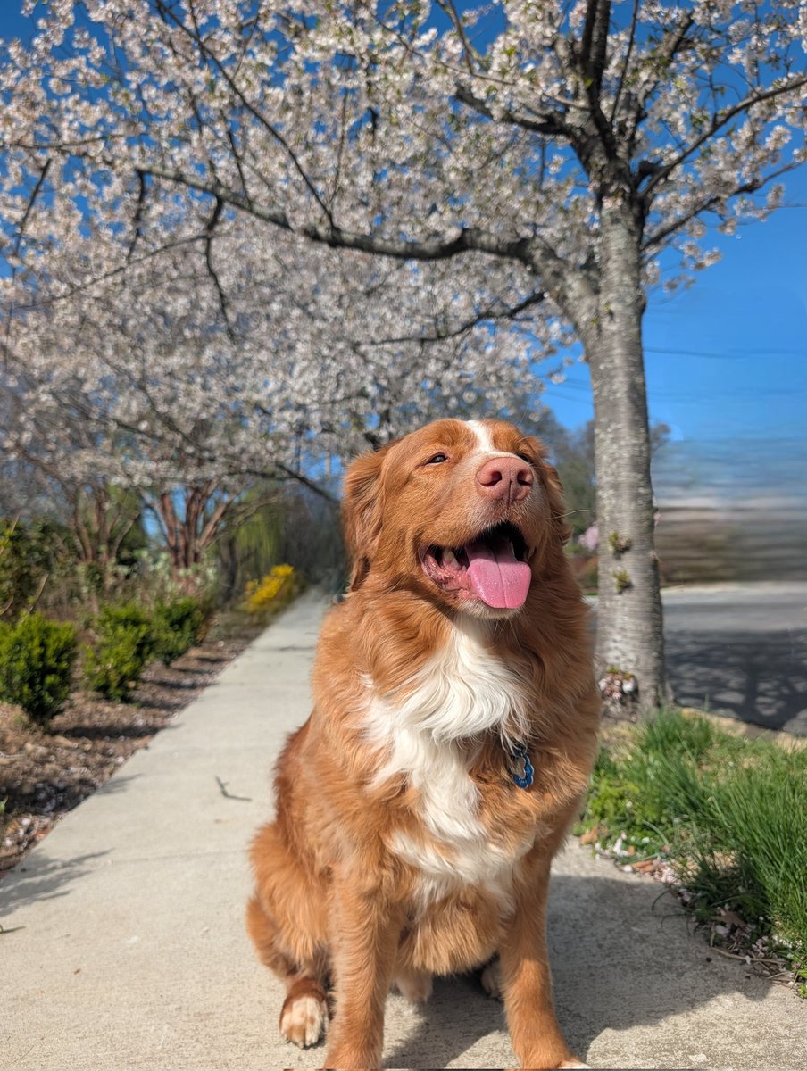 Reasonable Man 🇺🇸 tweet media