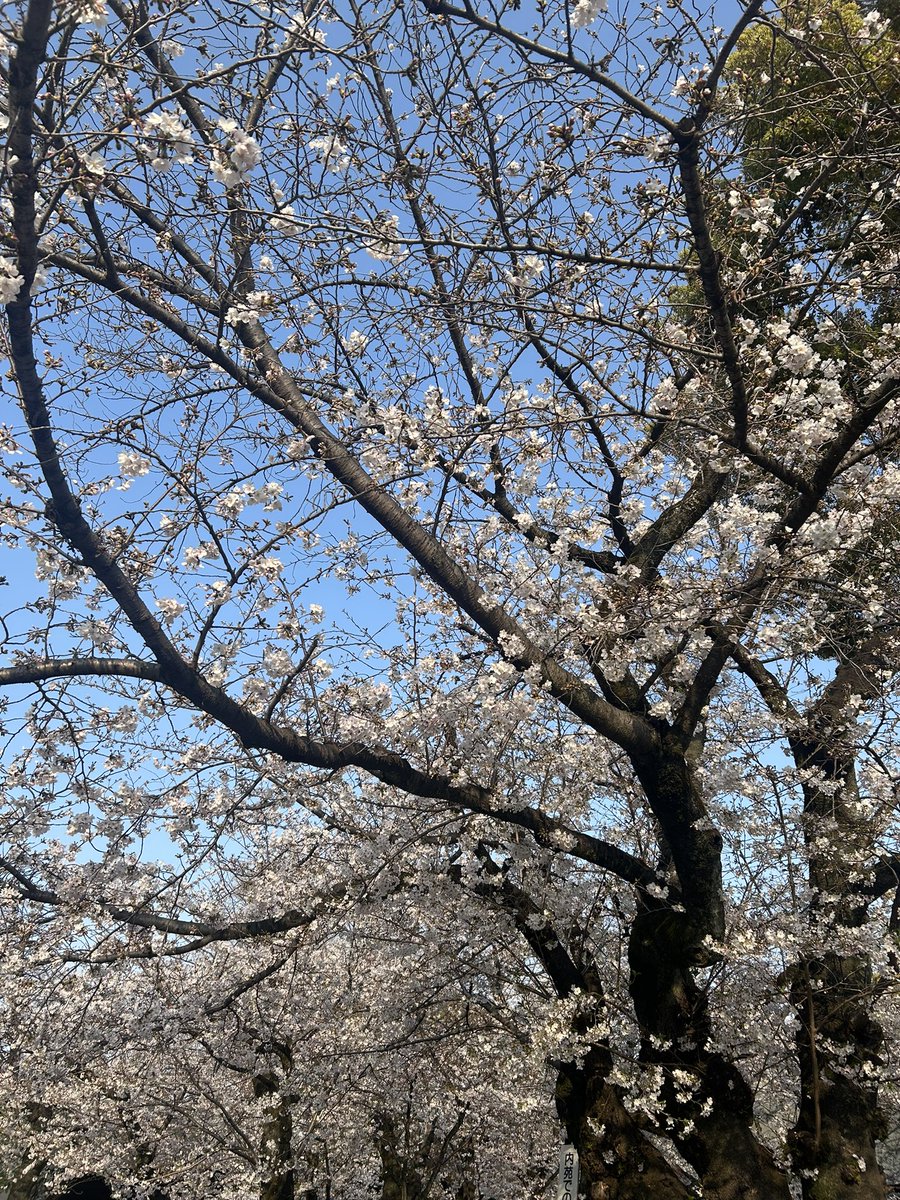 ♡あやぽち♡ tweet media