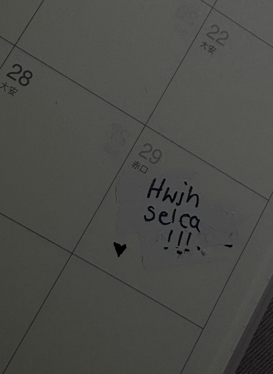 v ⋆˙⟡ tweet media