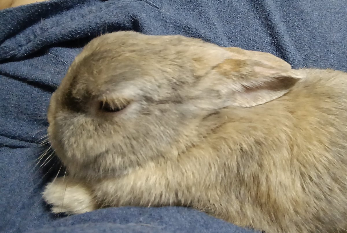 Crusher-爺 tweet media