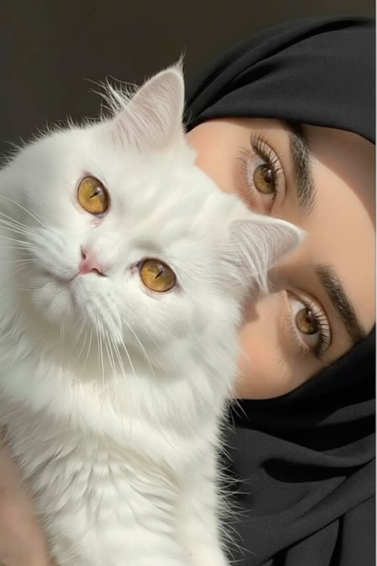 Saba Amjad tweet media