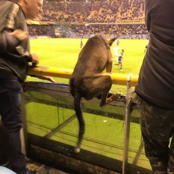 Cristian tweet media