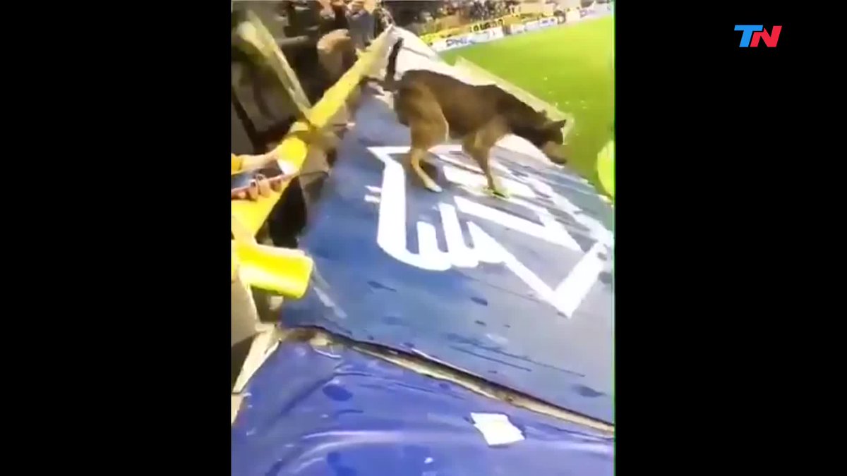 Cristian tweet media