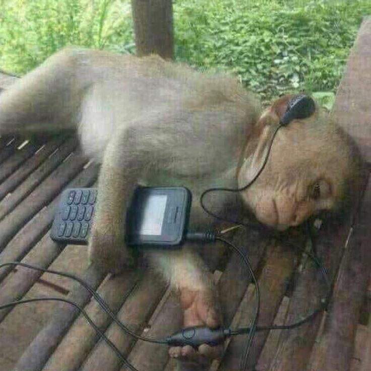 Me listening to gospel song after I don check my school portal😩