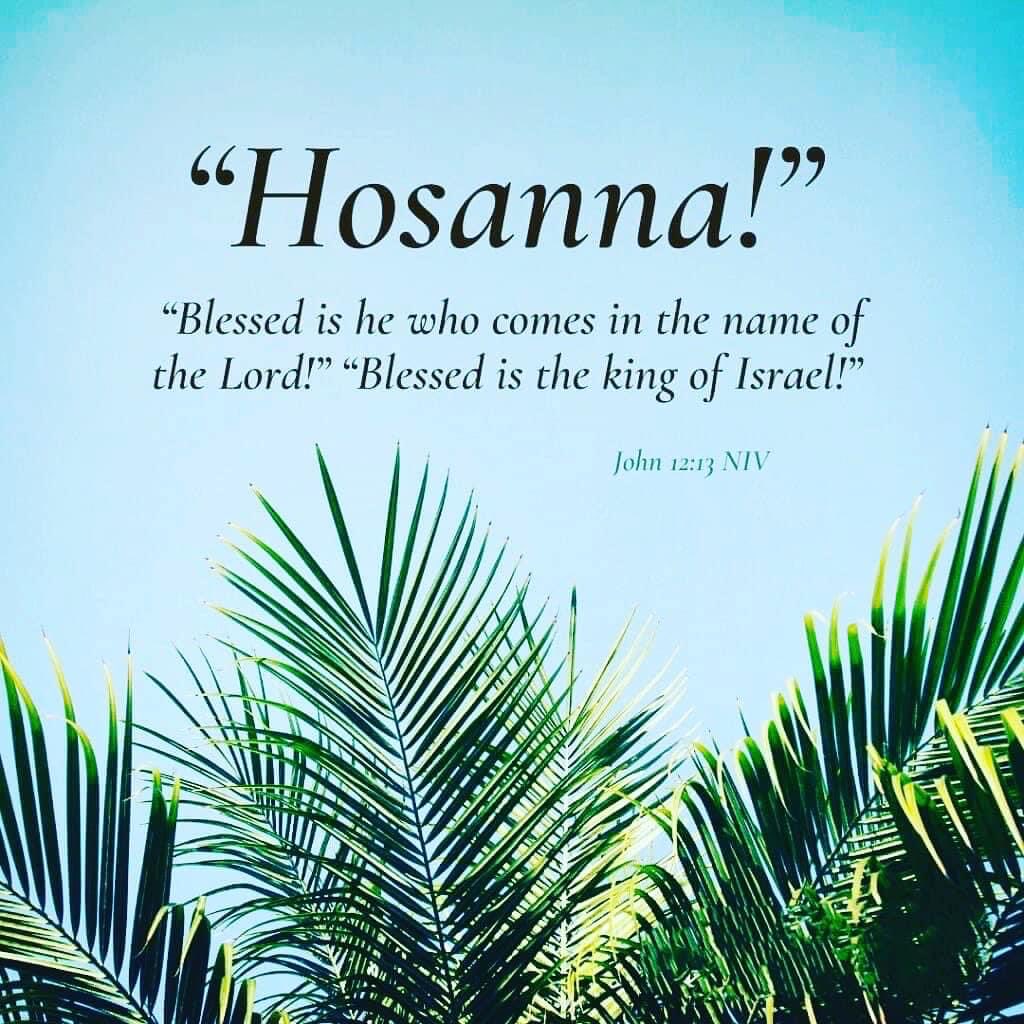 NicLott's tweet image. Today, we remember the triumphant entry of Jesus into Jerusalem. Let us pray that we may be renewed in mind and heart this Holy Week. May the blessings of the Lord be yours in abundance.

"Hosanna! Blessed is He who comes in the name of the Lord!"

#PalmSunday #Hosanna #SaveUs