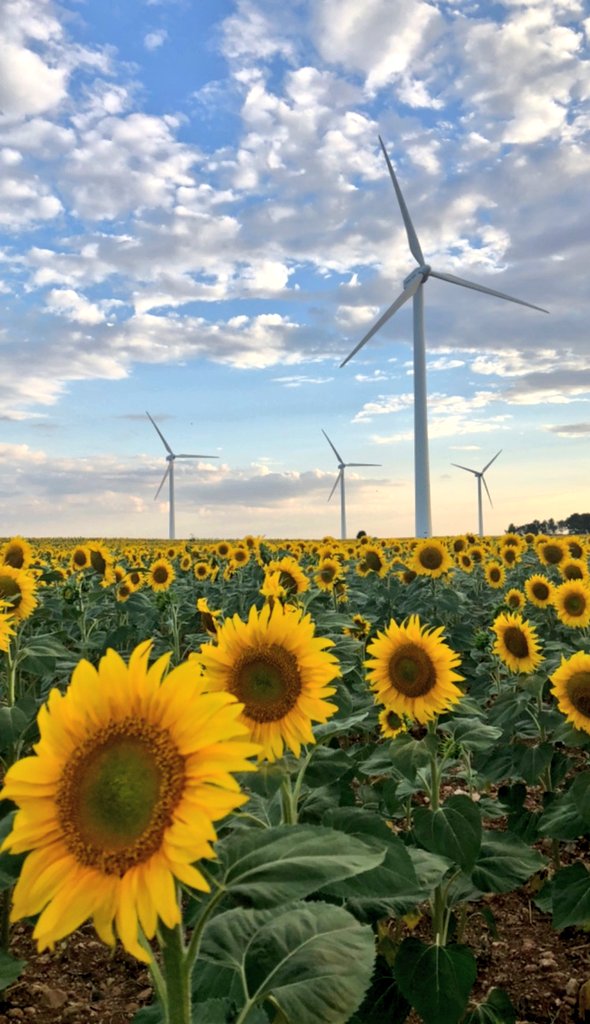 Diseños 🇻🇪 tweet media