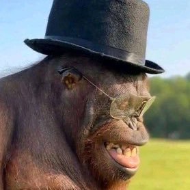 Prudence Mudeure tweet media