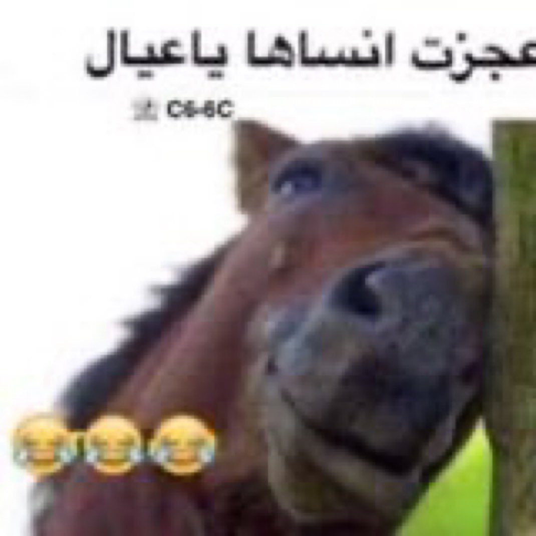 lowroar78 tweet media