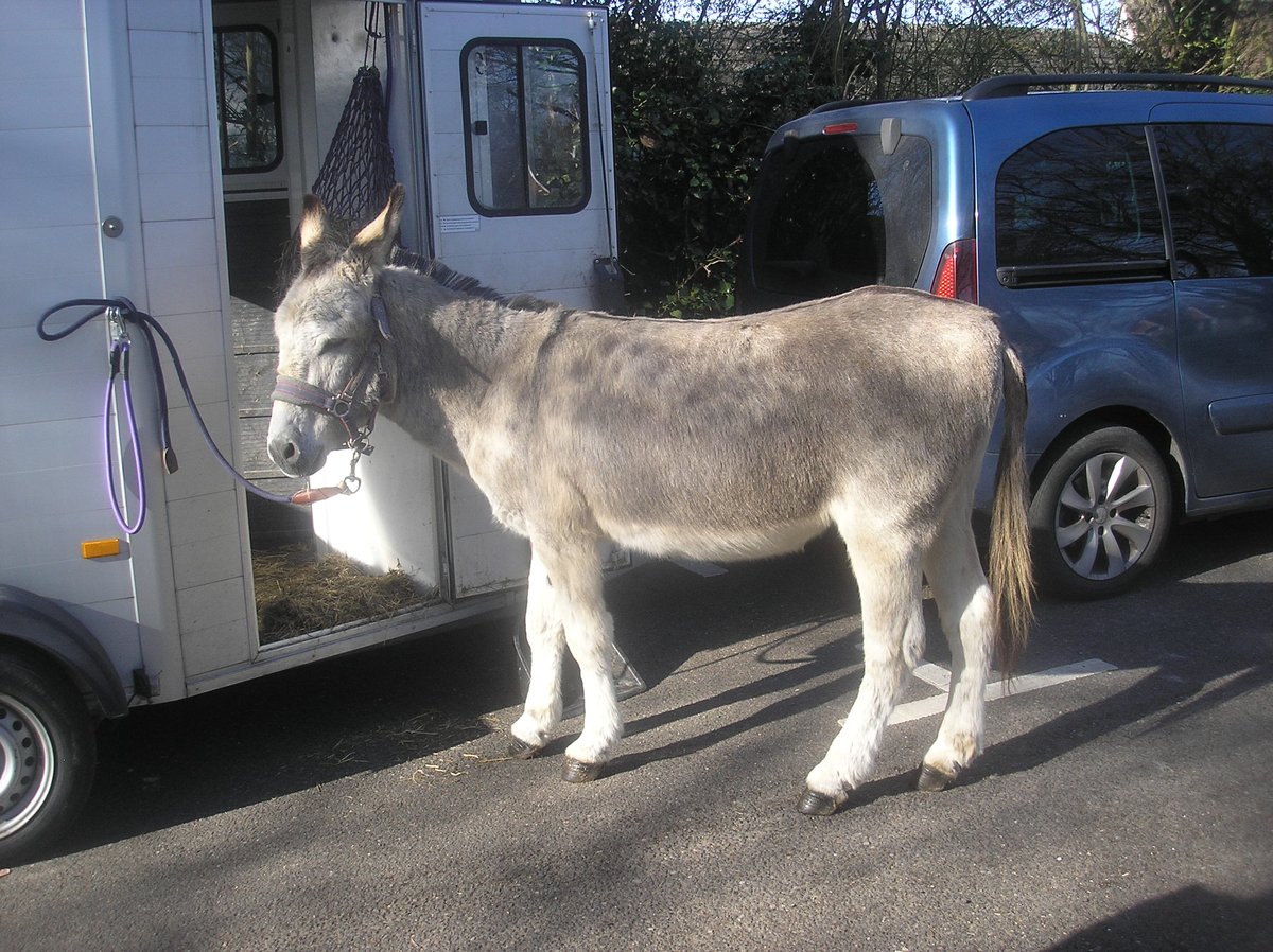 Chris Hall tweet media