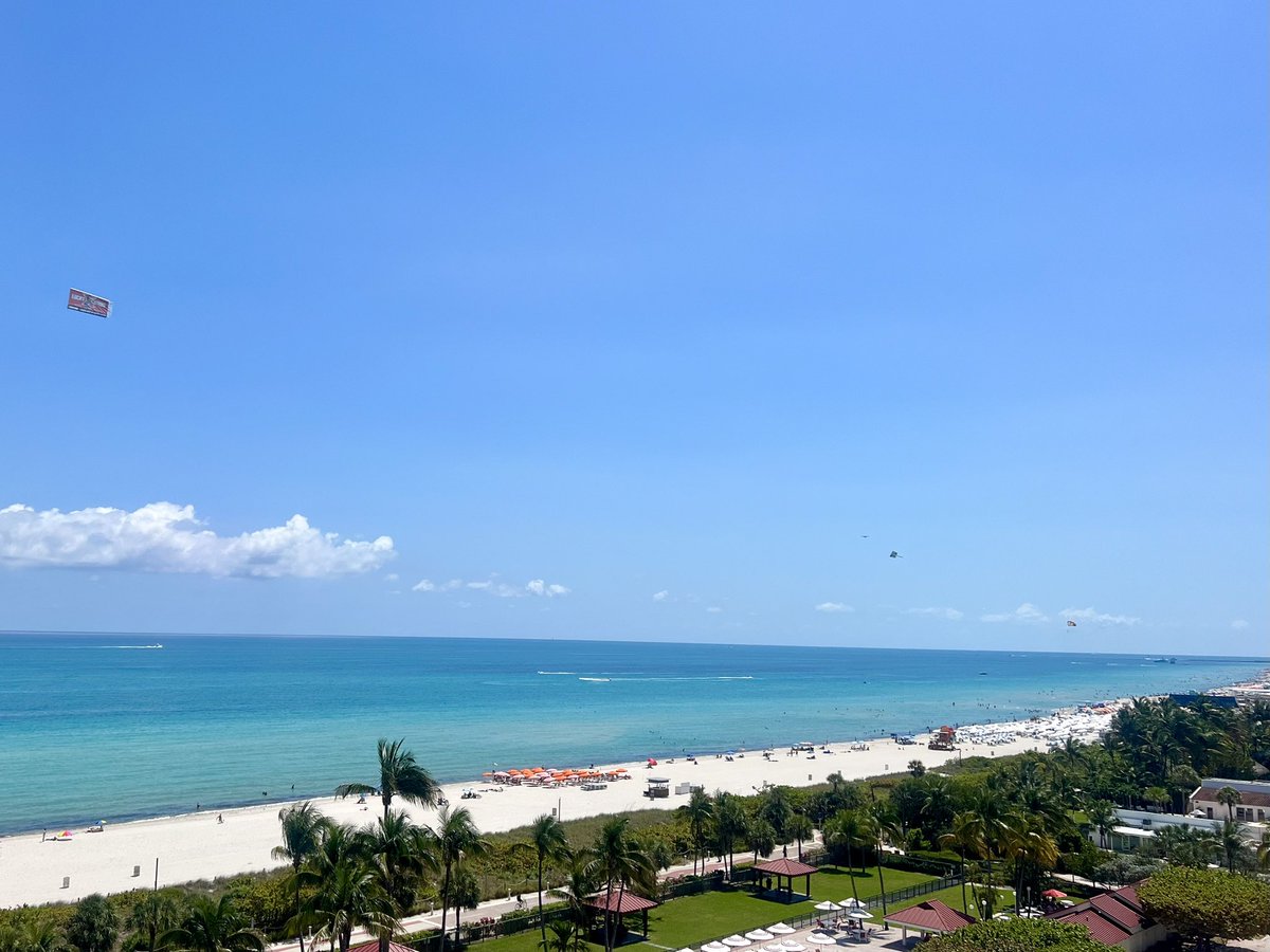 Cipriana Canovi tweet media