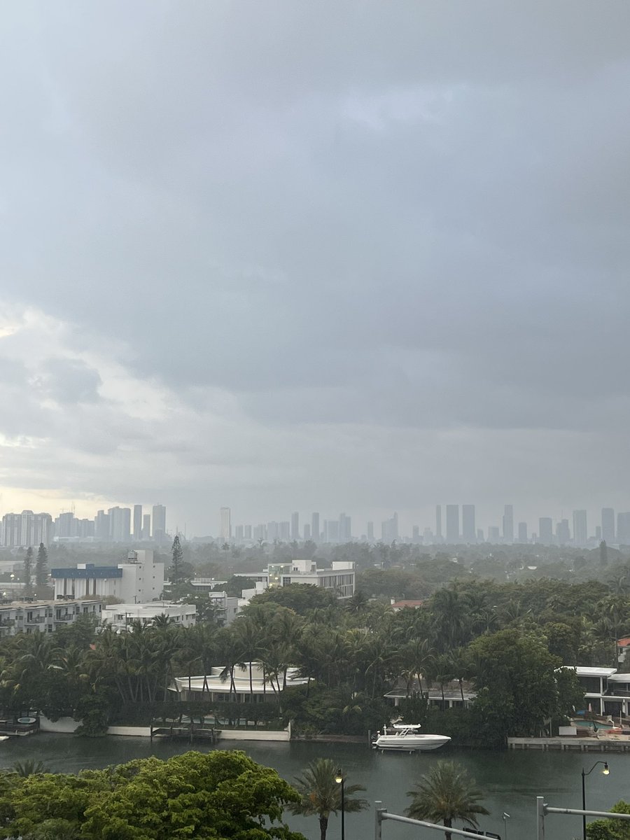 Cipriana Canovi tweet media