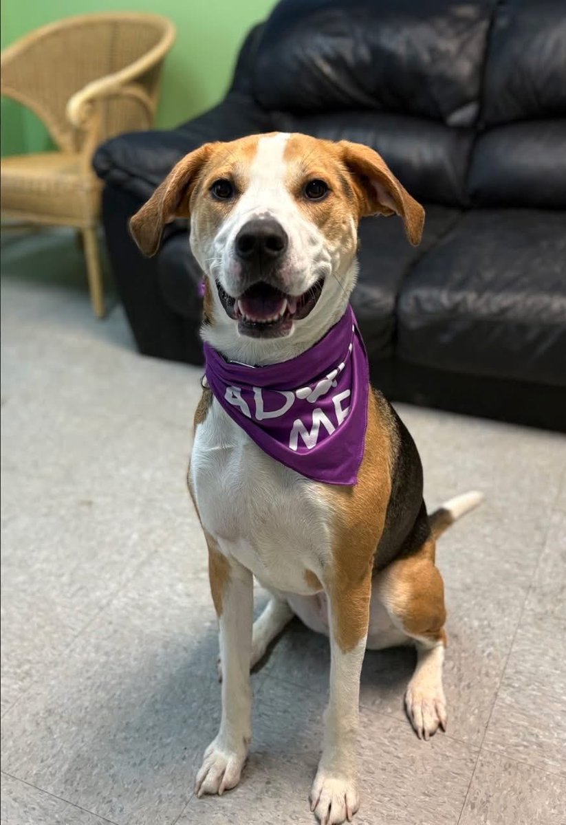 Rescue Ridge tweet media