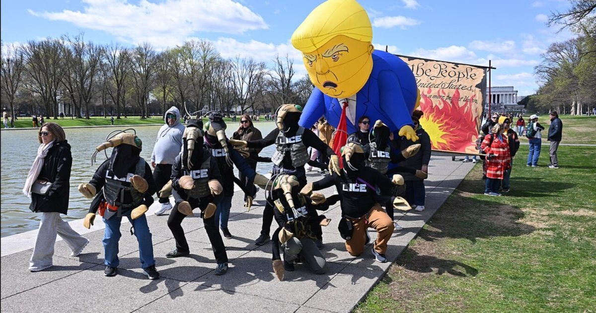 The Gateway Pundit tweet media