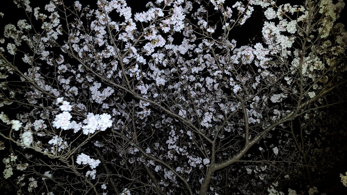 れどばぐ tweet media