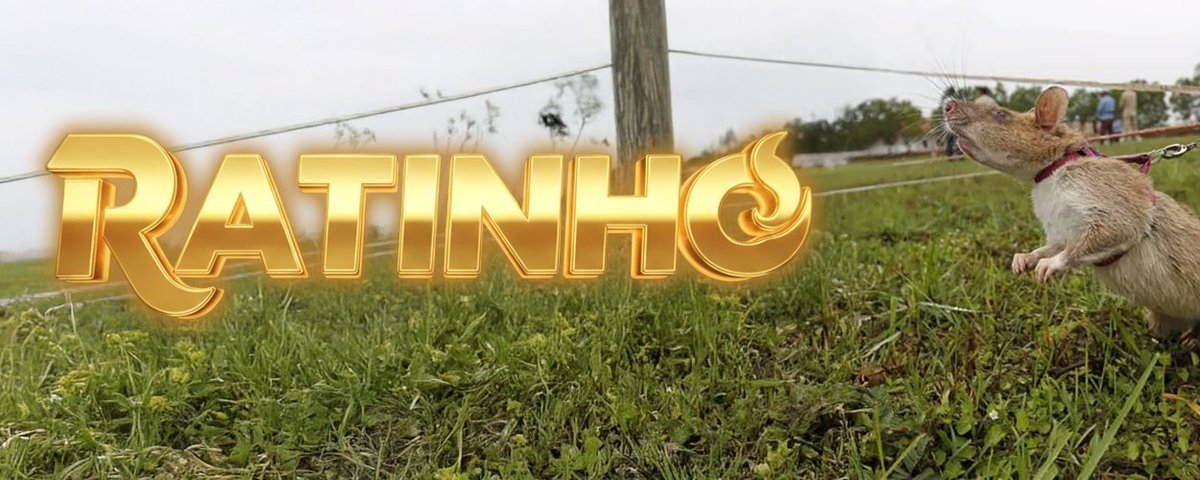 bobby ♚ tweet media