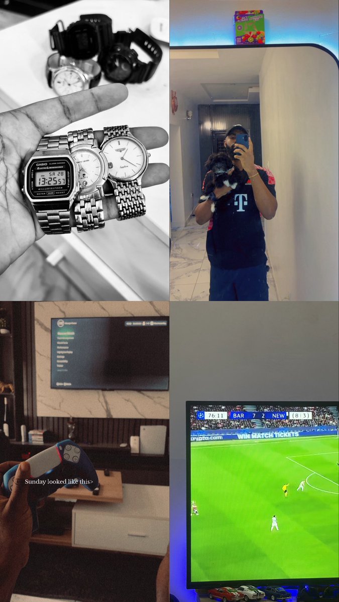 Falcone. 🐦‍🔥 tweet media