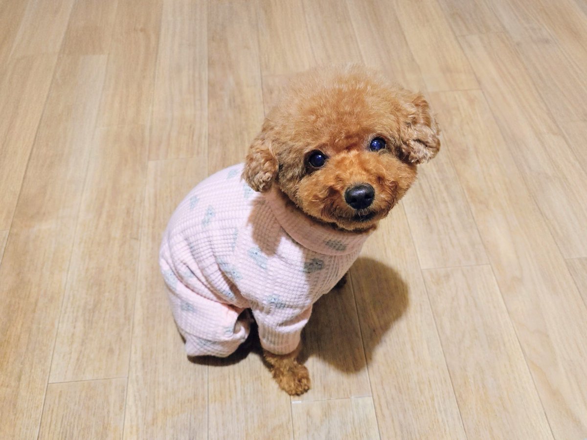 Banbi chan tweet media