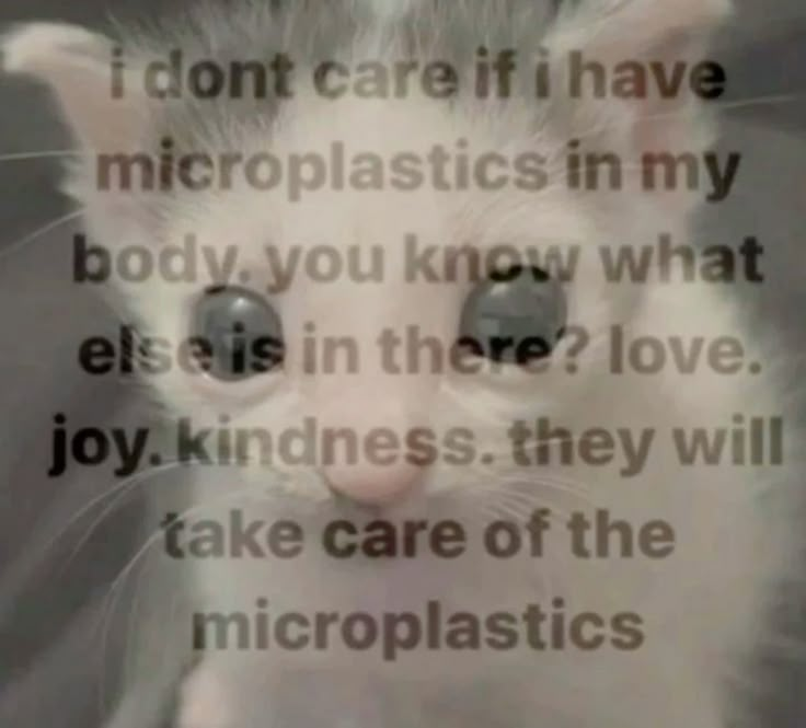 ella🌸 tweet media