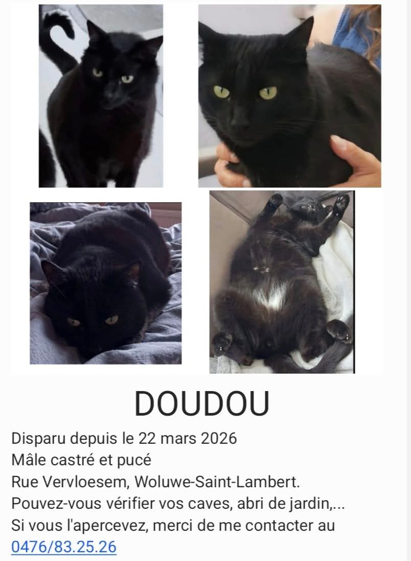 Sombre Claire 🇧🇪 tweet media