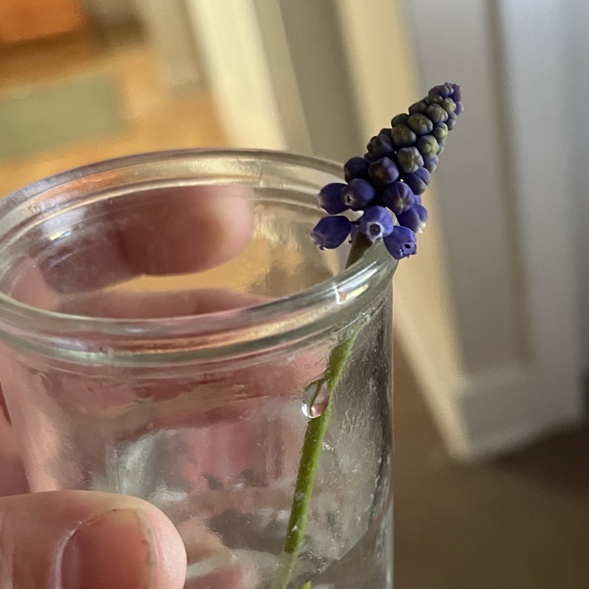 kush 🦚 tweet media