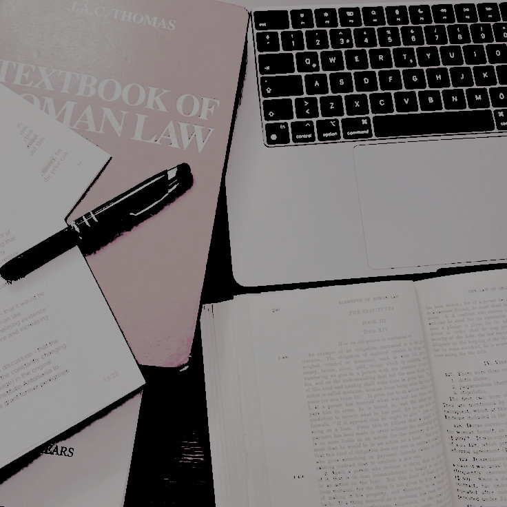 𝕷𝑰𝑳𝒀 tweet media