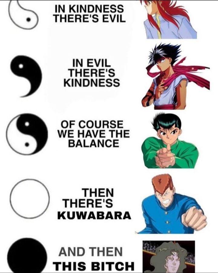 Yu Yu Hakusho Perfect Shots tweet media