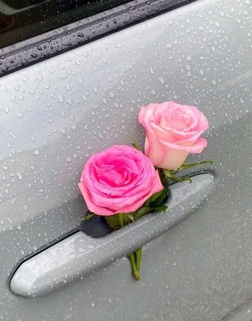 Ohebok Raby tweet media