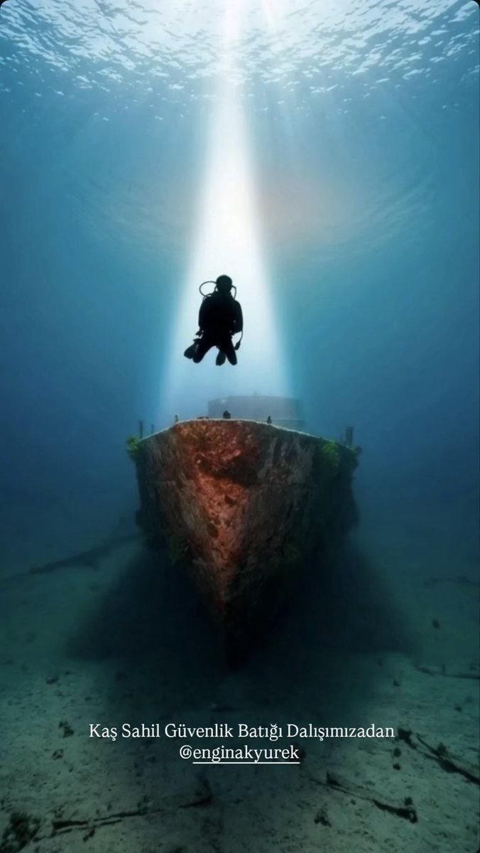 EnginGeorgianFans tweet media