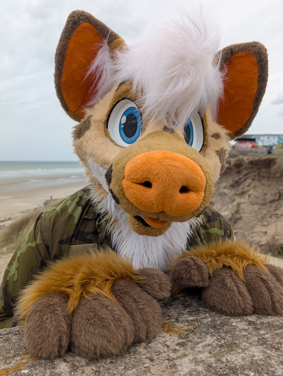 Warmik Yeen tweet media