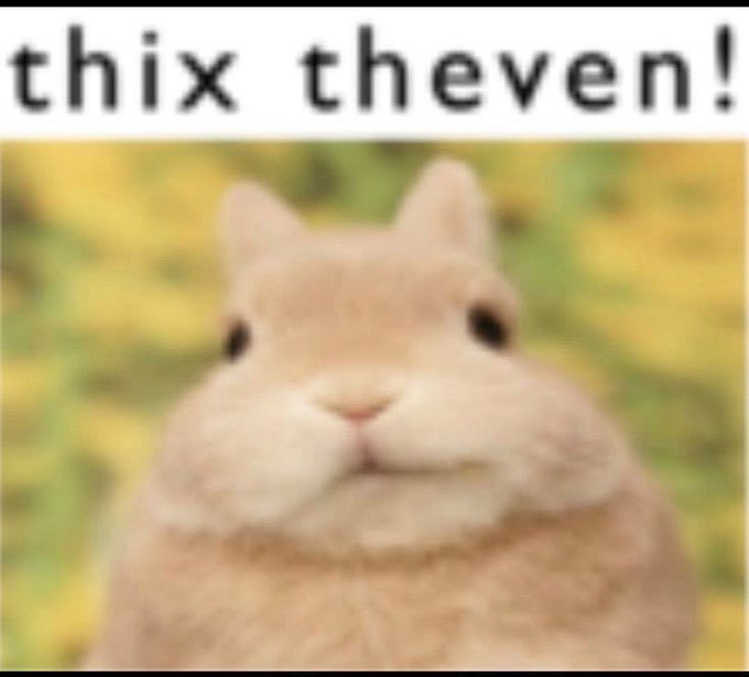 Squiddles💦 tweet media