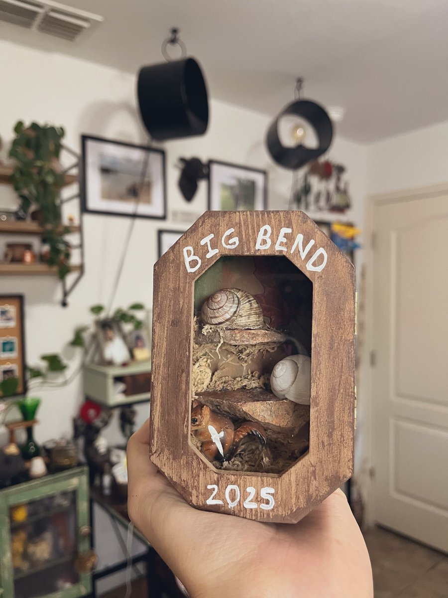 latinobonito98's tweet photo. Made this keepsake with my shells and rocks from Big Bend 🥺 https://t.co/m1P4XsGfQC