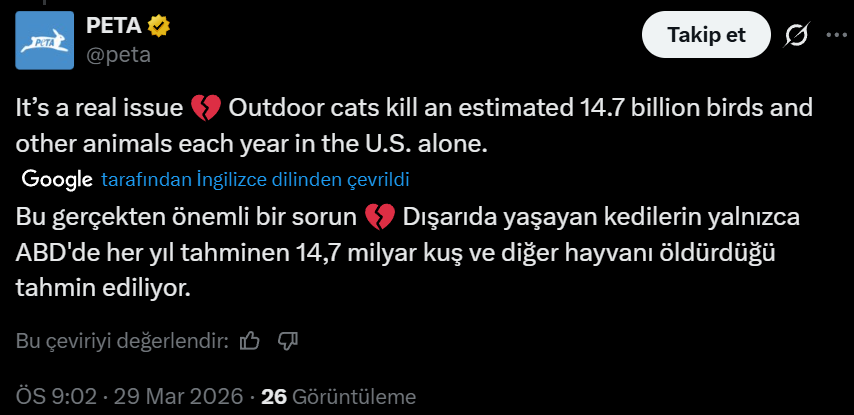 Güvenli Türkiye tweet media