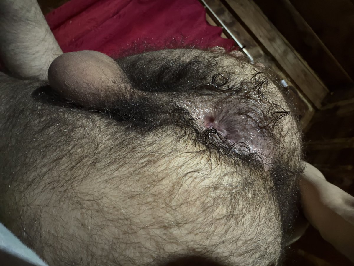 HAİRY BOYS tweet media