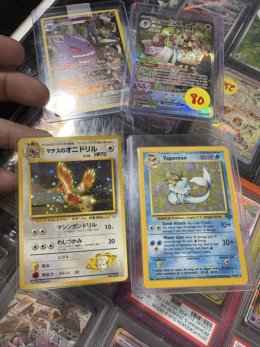 Catskill Collections TCG tweet media