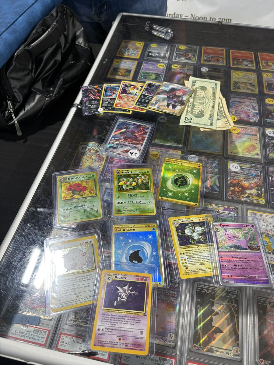 Catskill Collections TCG tweet media